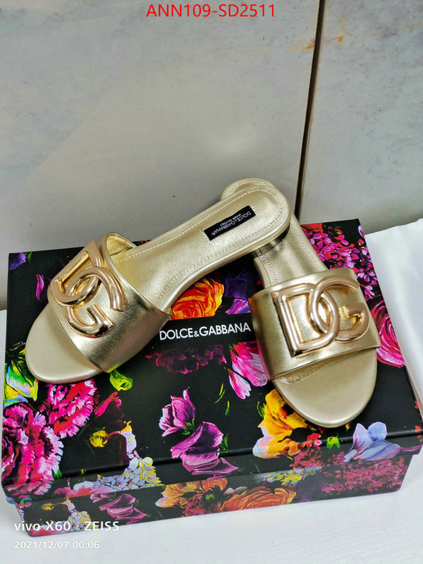 Women Shoes-DG,1:1 replica wholesale , ID: SD2511,$: 109USD