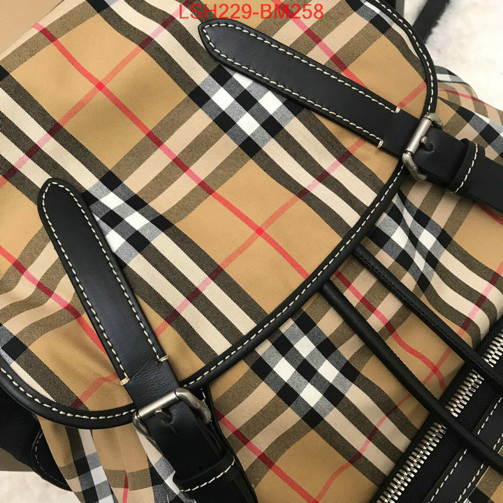 Burberry Bags(TOP)-Backpack-,best luxury replica ,ID: BM258,$:229USD