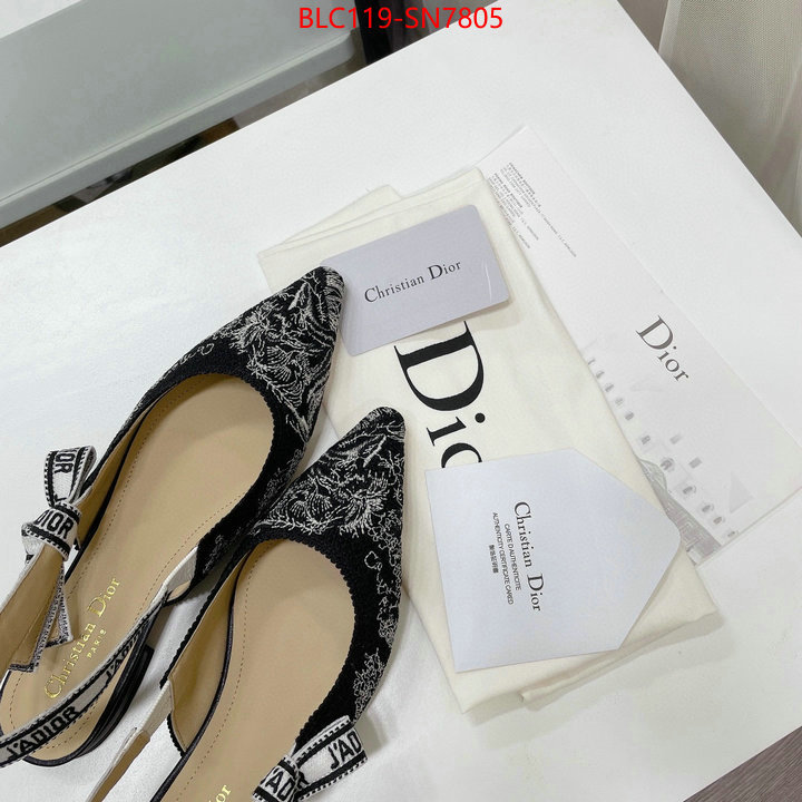 Women Shoes-Dior,the top ultimate knockoff , ID: SN7805,$: 119USD