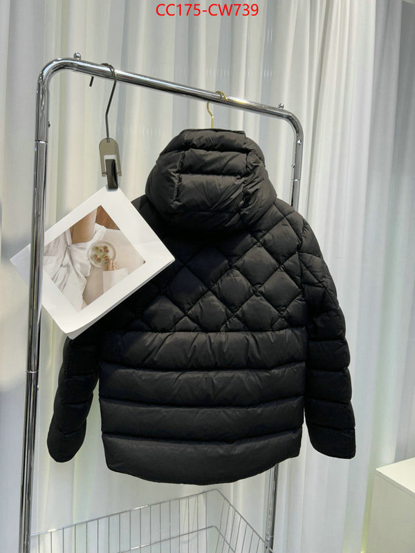 Down jacket Men-Moncler,the quality replica , ID: CW739,$: 175USD