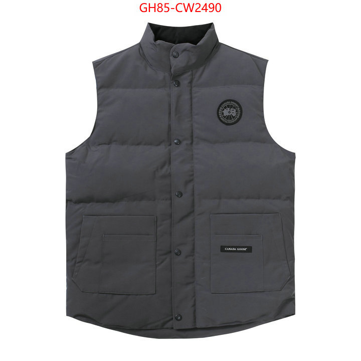 Down jacket Men-Canada Goose,best quality replica , ID: CW2490,$: 85USD