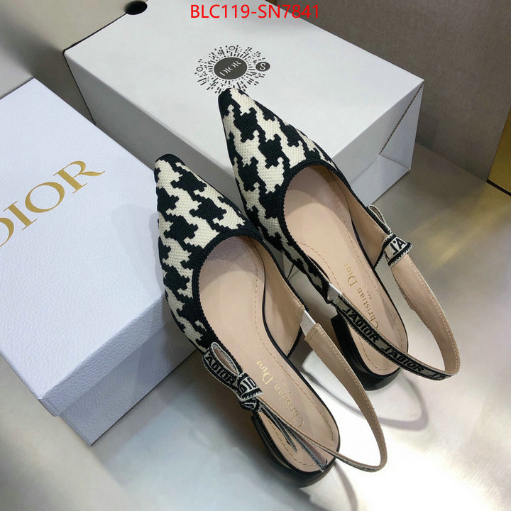 Women Shoes-Dior,outlet 1:1 replica , ID: SN7841,$: 119USD