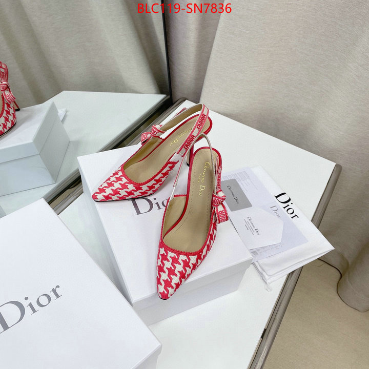 Women Shoes-Dior,what's the best to buy replica , ID: SN7836,$: 119USD