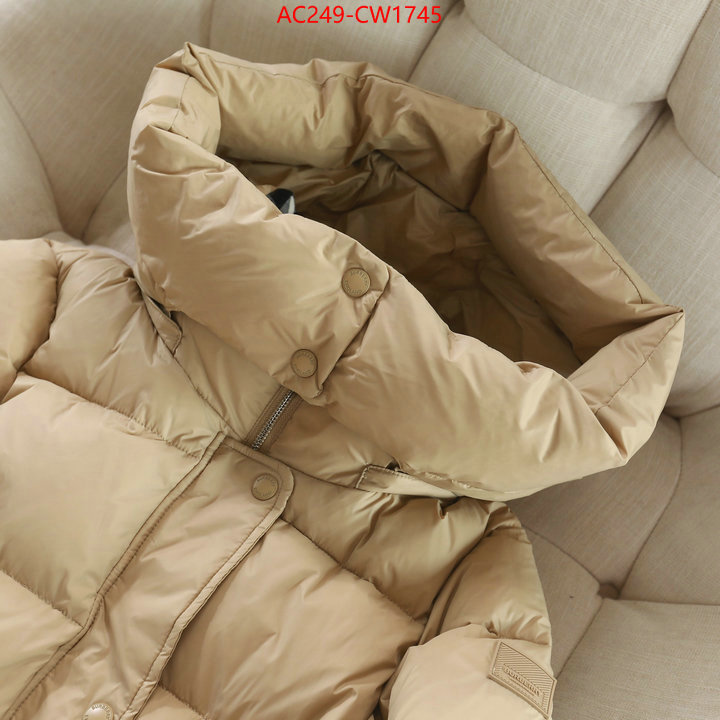 Down jacket Women-Burberry,where to buy replicas , ID: CW1745,$: 249USD