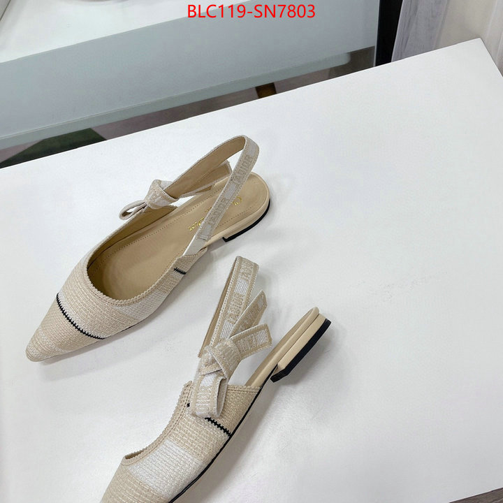 Women Shoes-Dior,replica designer , ID: SN7803,$: 119USD