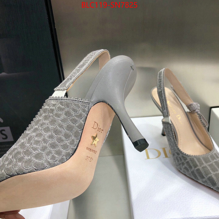 Women Shoes-Dior,buy 1:1 , ID: SN7825,$: 119USD