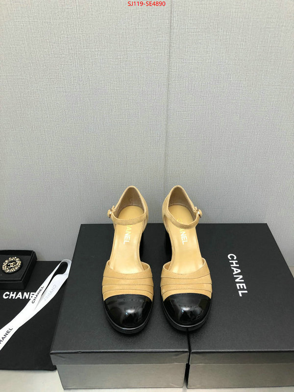 Women Shoes-Chanel,how to buy replica shop , ID: SE4890,$: 119USD