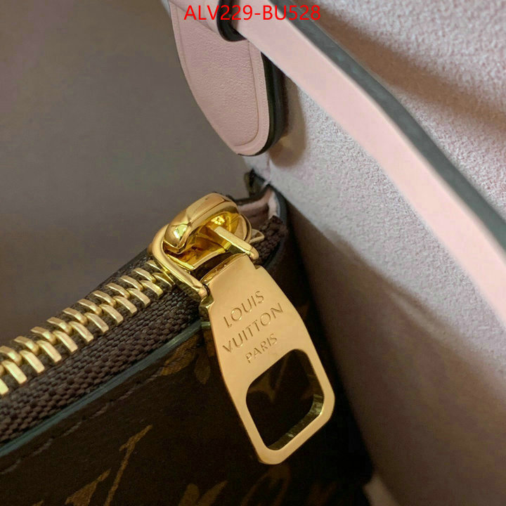 LV Bags(TOP)-Nono-No Purse-Nano No-,ID: BU528,$: 229USD