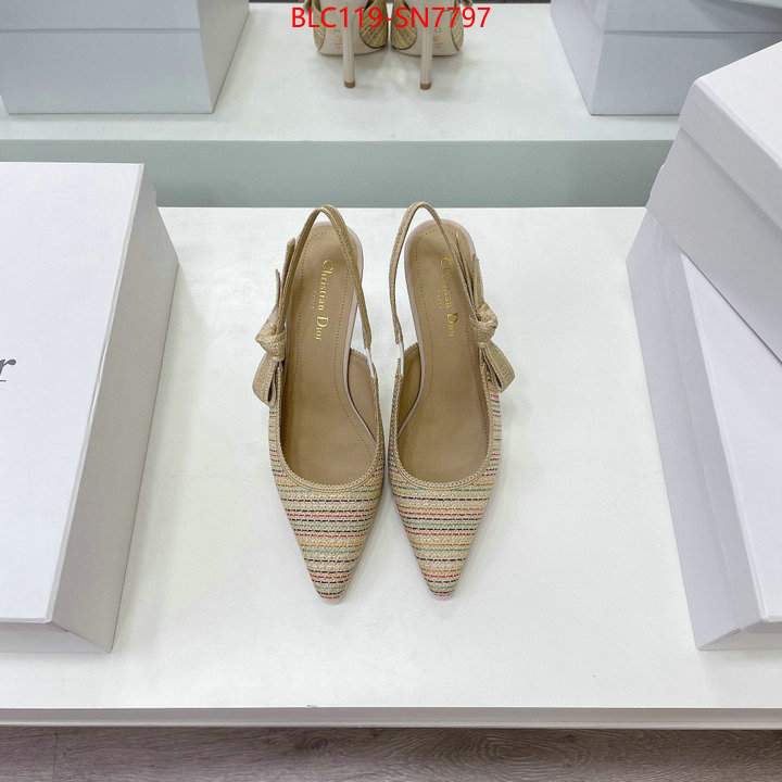 Women Shoes-Dior,2023 aaaaa replica 1st copy , ID: SN7797,$: 119USD