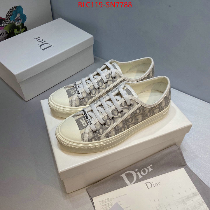 Women Shoes-Dior,buy cheap , ID: SN7788,$: 119USD