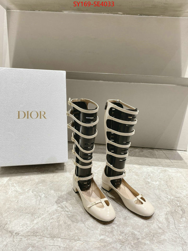 Women Shoes-Dior,top quality replica , ID: SE4033,$: 169USD