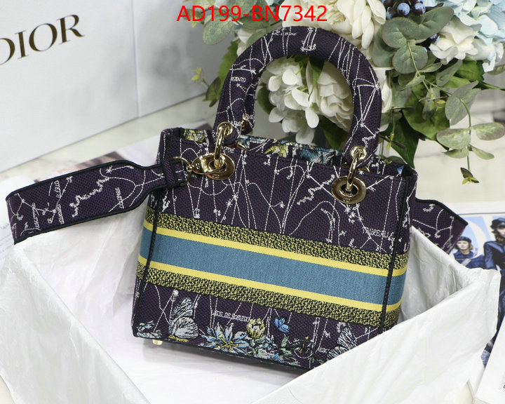 Dior Bags(TOP)-Lady-,ID: BN7342,$: 199USD