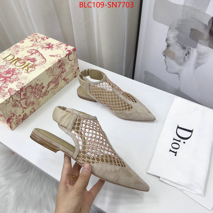 Women Shoes-Dior,what are the best replica , ID: SN7703,$: 109USD