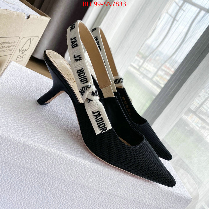 Women Shoes-Dior,replica 2023 perfect luxury , ID: SN7833,$: 99USD