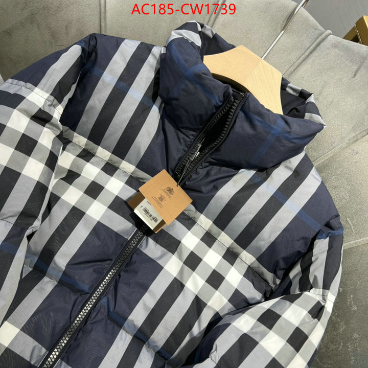 Down jacket Women-Burberry,2023 luxury replicas , ID: CW1739,$: 185USD