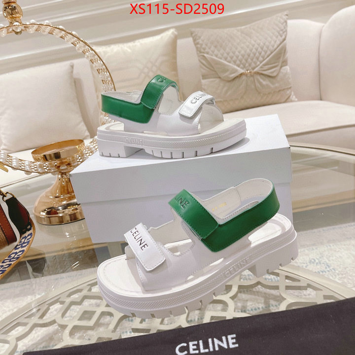 Women Shoes-CELINE,top quality designer replica , ID: SD2509,$: 115USD