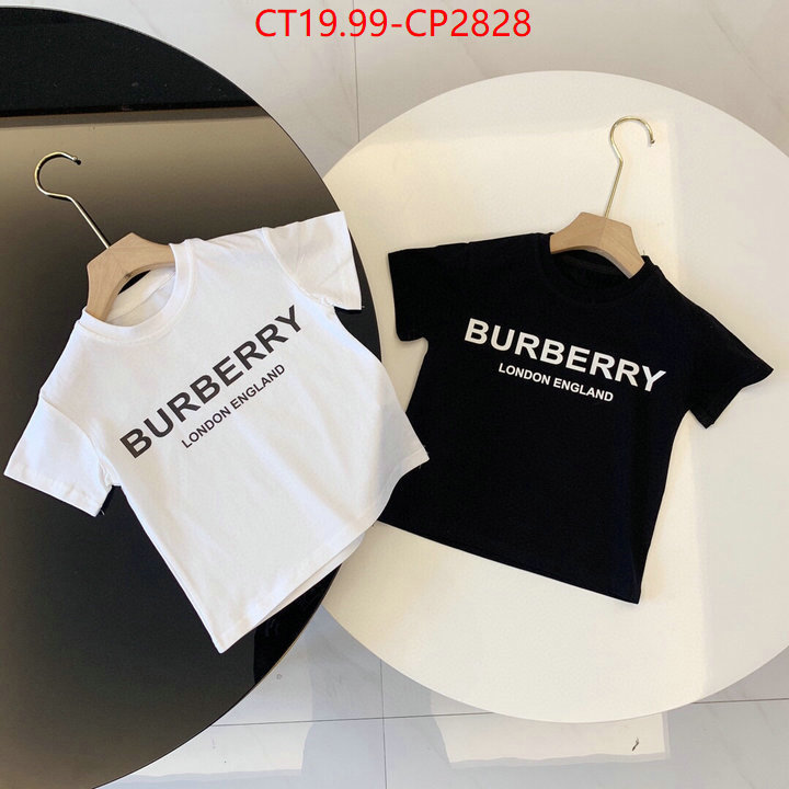 Kids clothing-Burberry,high quality , ID: CP2828,