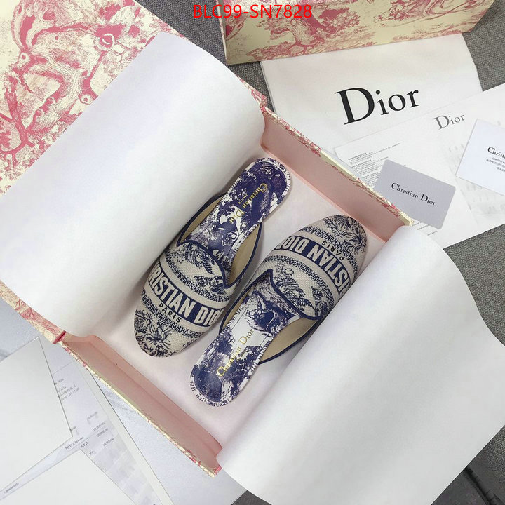 Women Shoes-Dior,1:1 replica wholesale , ID: SN7828,$: 99USD