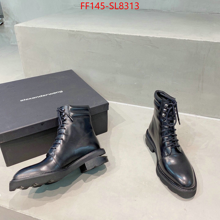 Women Shoes-Alexander Wang,best replica , ID:SL8313,$: 145USD