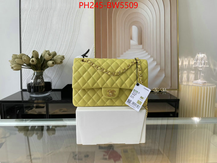 Chanel Bags(TOP)-Diagonal-,ID: BW5509,$: 245USD