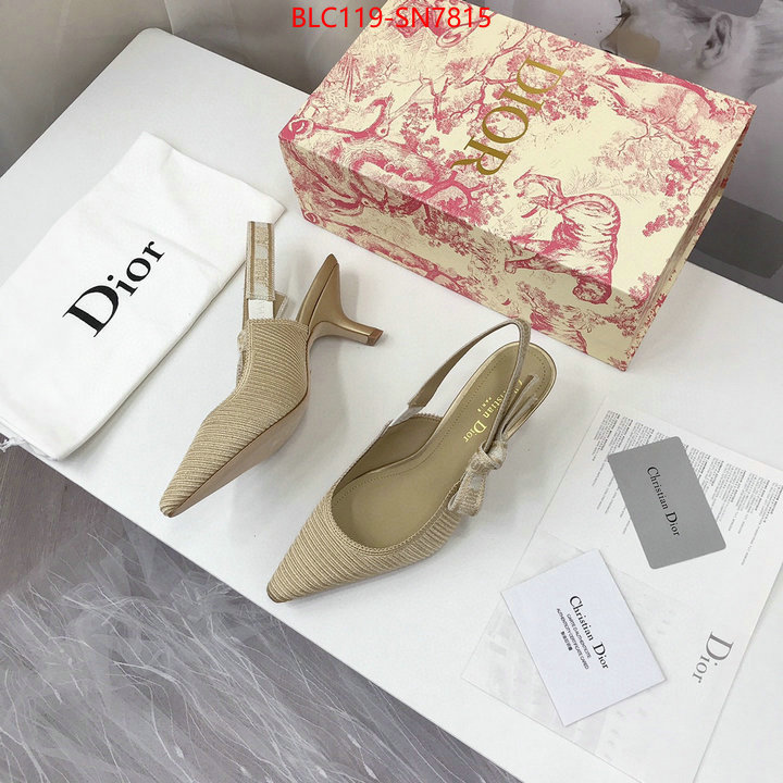 Women Shoes-Dior,shop cheap high quality 1:1 replica , ID: SN7815,$: 119USD