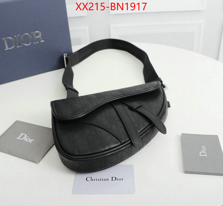 Dior Bags(TOP)-Saddle-,ID: BN1917,$: 215USD