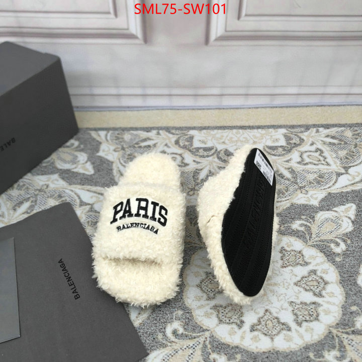 Women Shoes-Balenciaga,we offer , ID: SW101,$: 75USD