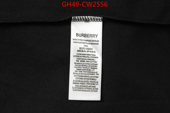 Clothing-Burberry,buy cheap , ID: CW2556,$: 49USD