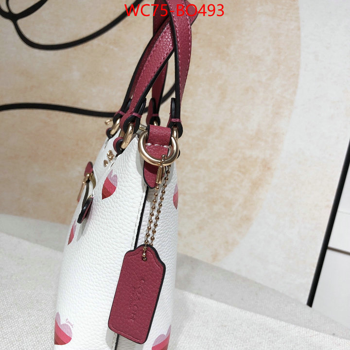 Coach Bags(4A)-Tote-,online shop ,ID: BO493,$: 75USD