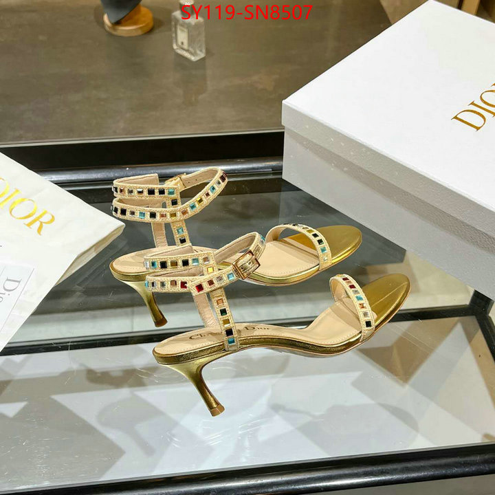 Women Shoes-Dior,new 2023 , ID: SN8507,$: 119USD