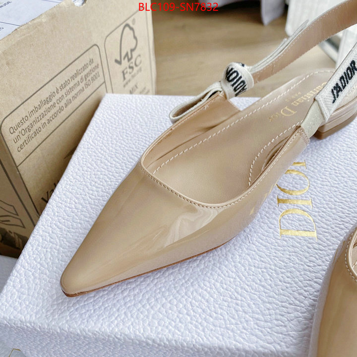 Women Shoes-Dior,2023 replica , ID: SN7832,$: 109USD