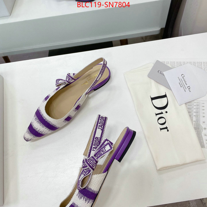 Women Shoes-Dior,wholesale designer shop , ID: SN7804,$: 119USD