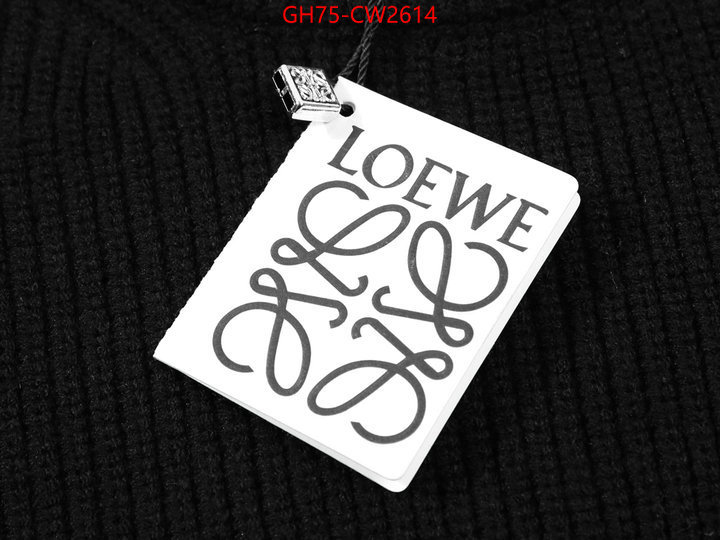 Clothing-Loewe,top quality replica , ID: CW2614,$: 75USD