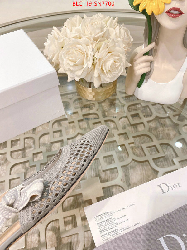 Women Shoes-Dior,sell online luxury designer , ID: SN7700,$: 119USD