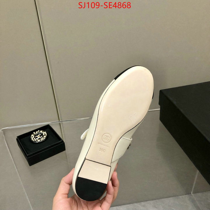 Women Shoes-Chanel,only sell high-quality , ID: SE4868,$: 109USD