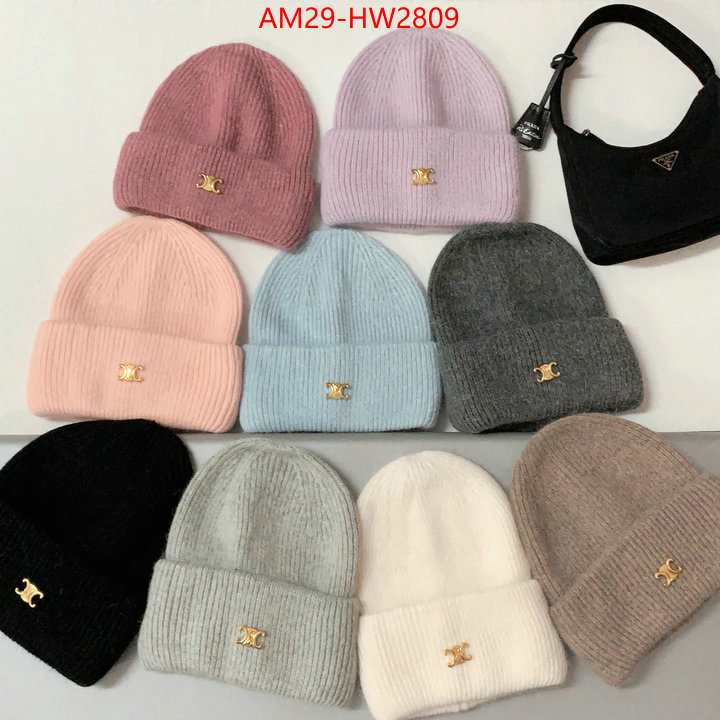 Cap (Hat)-Celine,top grade , ID: HW2809,$: 29USD