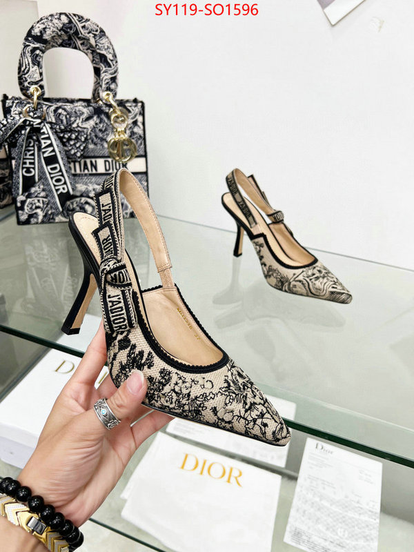 Women Shoes-Dior,high quality online , ID: SO1596,$: 119USD