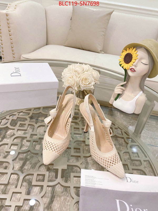 Women Shoes-Dior,how to buy replcia , ID: SN7698,$: 119USD