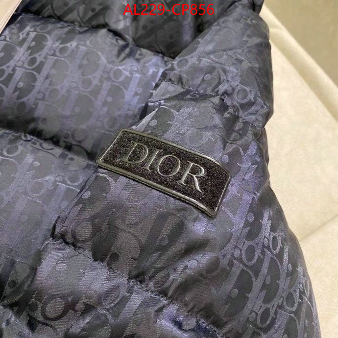 Down jacket Women-Dior,china sale , ID: CP856,$: 229USD