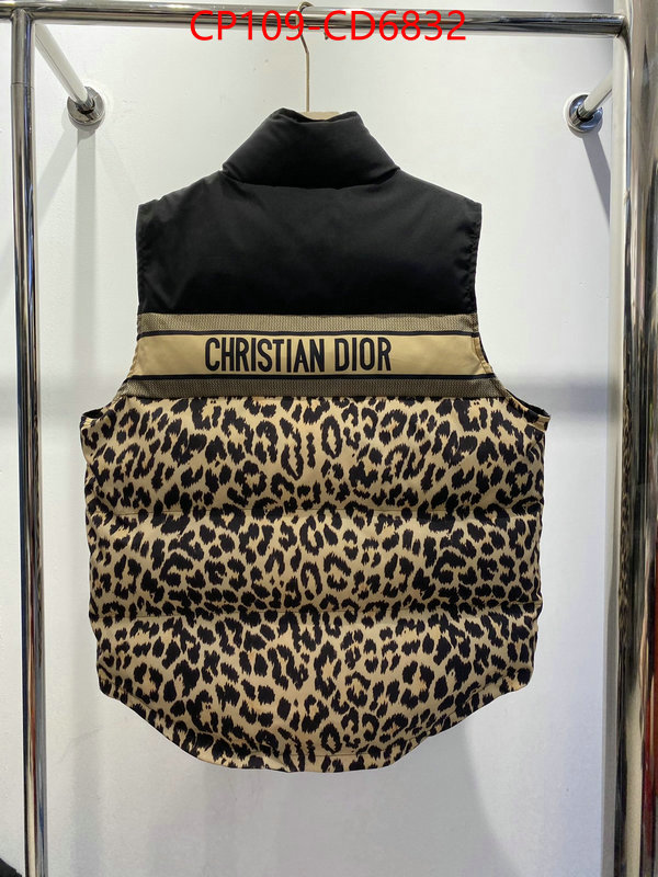 Down jacket Women-Dior,the highest quality fake , ID: CD6832,$: 109USD