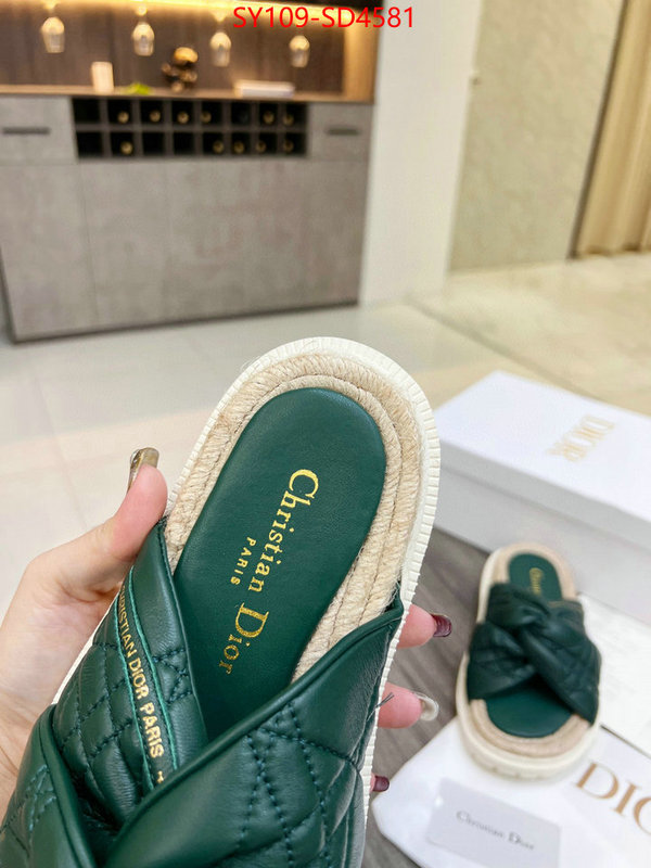 Women Shoes-Dior,perfect quality designer replica , ID: SD4581,$: 109USD
