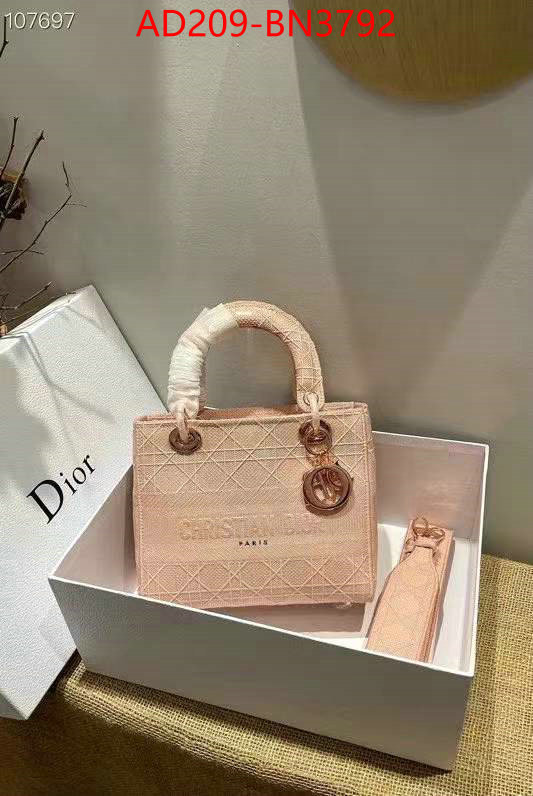 Dior Bags(TOP)-Lady-,ID: BN3792,$: 209USD