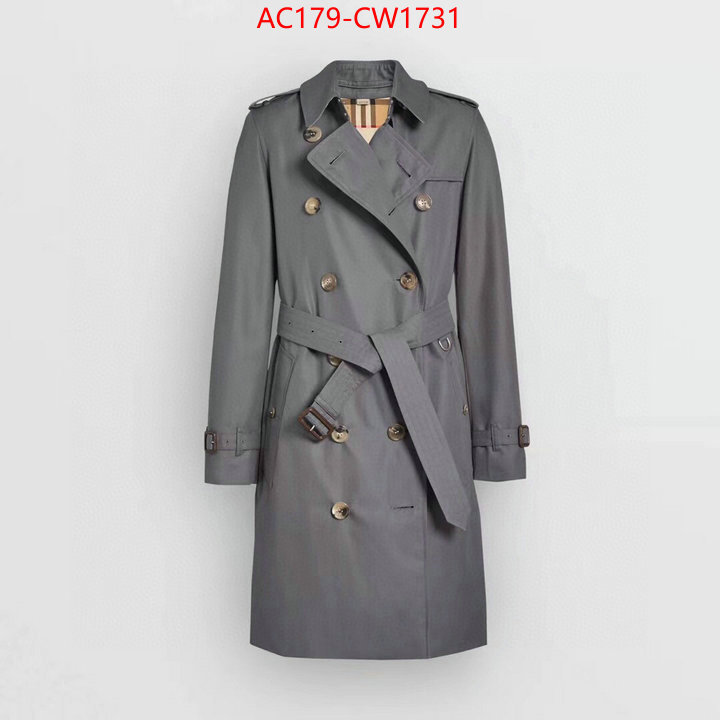 Down jacket Women-Burberry,the best , ID: CW1731,$: 179USD