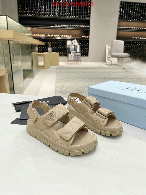 Women Shoes-Prada,top quality , ID: SN9613,$: 125USD