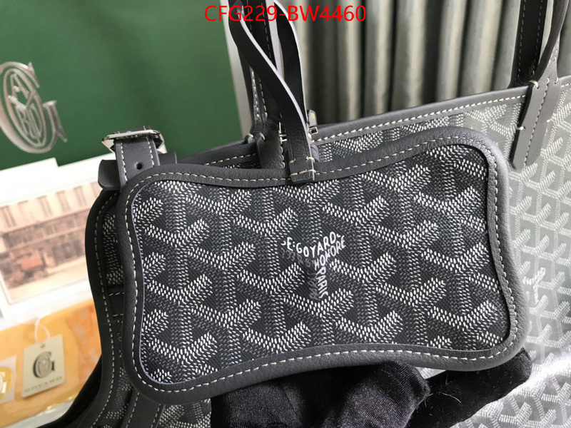 Goyard Bags(TOP)-Handbag-,ID: BW4460,$: 229USD