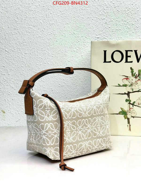 Loewe Bags(TOP)-Cubi,top 1:1 replica ,ID: BN4312,$: 209USD