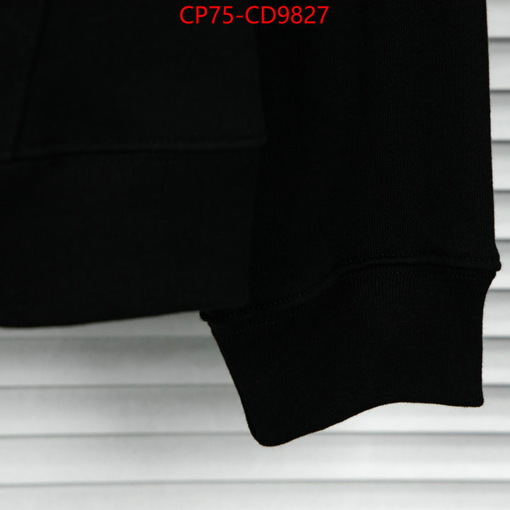 Clothing-Balenciaga,china sale , ID: CD9827,$: 75USD