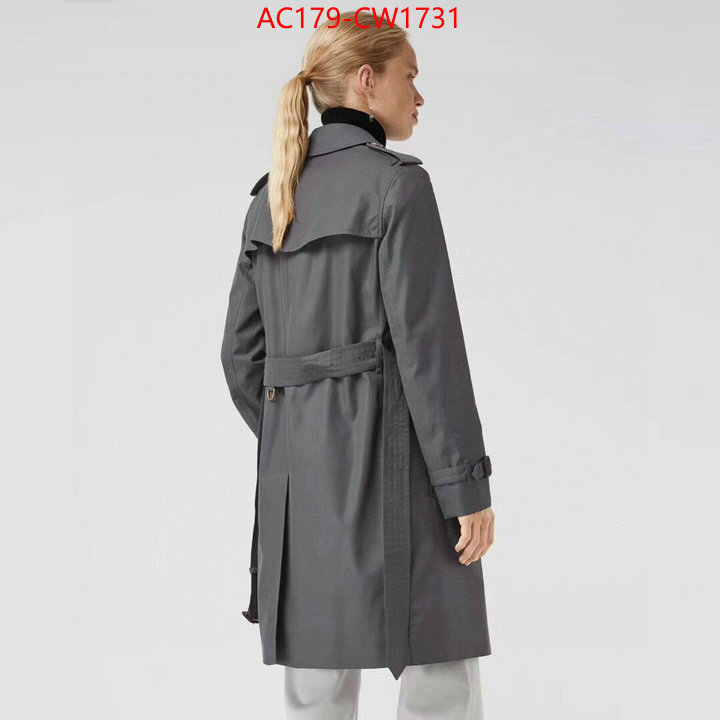 Down jacket Women-Burberry,the best , ID: CW1731,$: 179USD