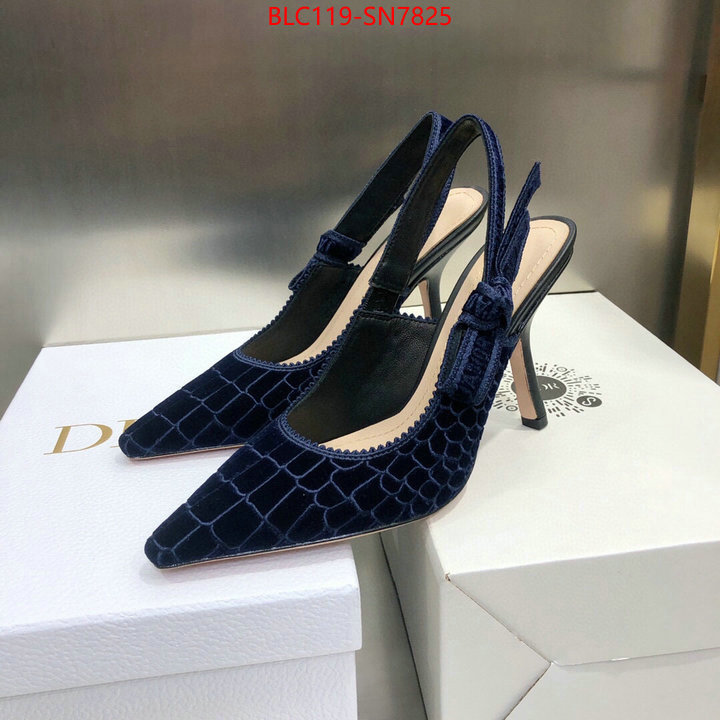 Women Shoes-Dior,buy 1:1 , ID: SN7825,$: 119USD