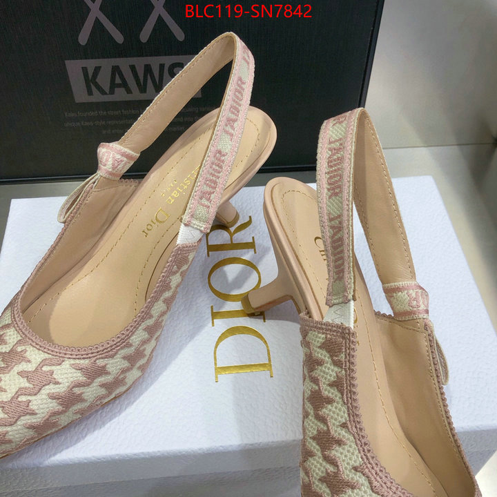 Women Shoes-Dior,designer 7 star replica , ID: SN7842,$: 119USD